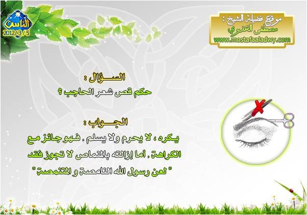 حكم قص شعر الحاجب الموقع الرسمي لسماحة الشيخ مصطفى العدوي